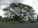 DSCN0229