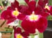 DSCN0239