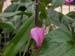 DSCN0240