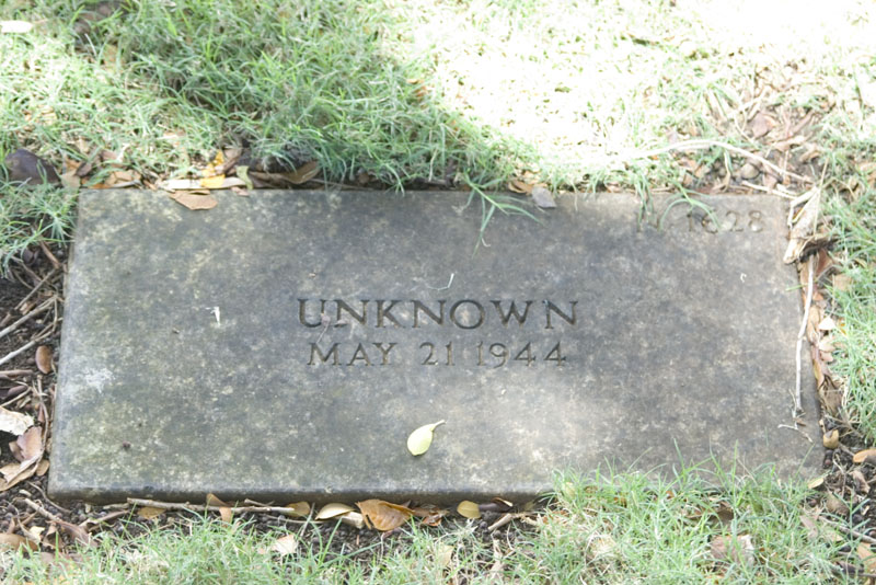 IMGP0881