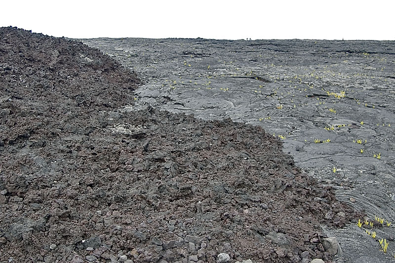 IMGP0957