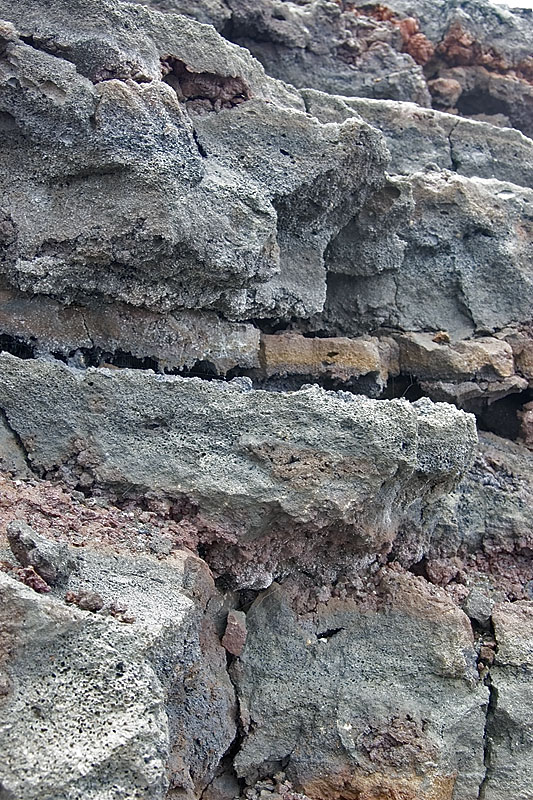 IMGP0963
