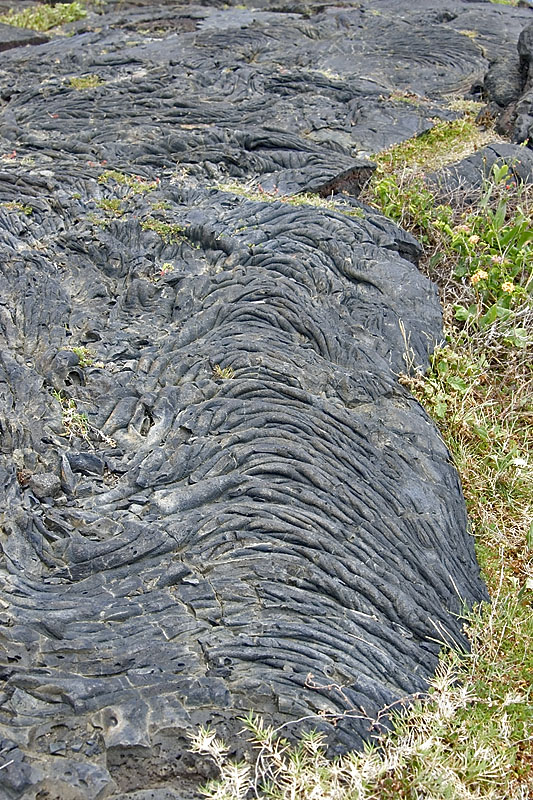 IMGP0972