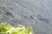 IMGP0925