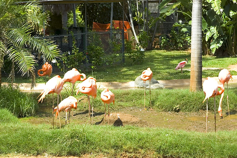 IMGP0734
