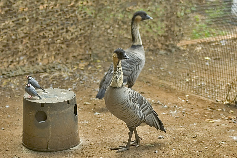 IMGP0750