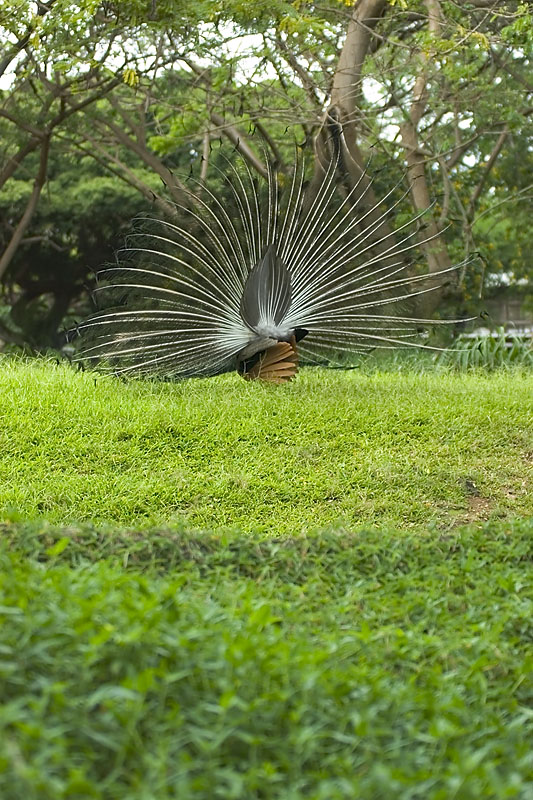 IMGP0781