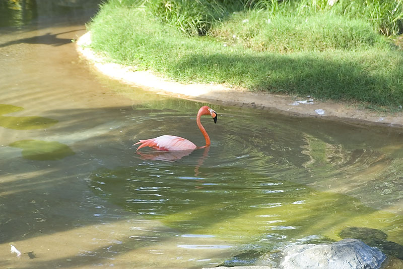 IMGP0792